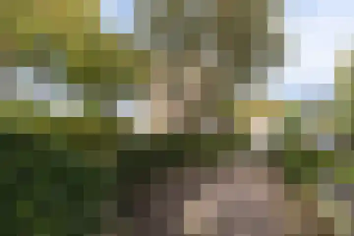 van der Helstlaan 87 Naarden thumbnail 47