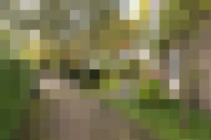 van der Helstlaan 87 Naarden thumbnail 48