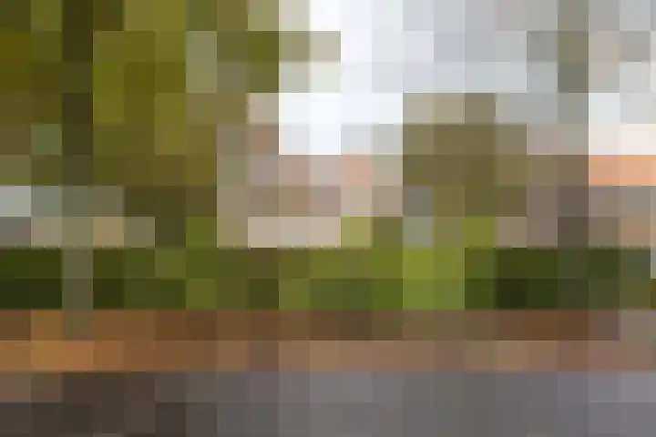 van der Helstlaan 87 Naarden thumbnail 49