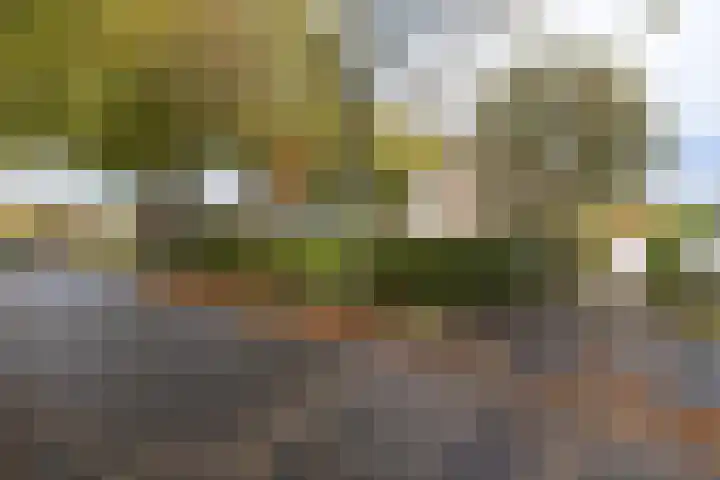 van der Helstlaan 87 Naarden thumbnail 51