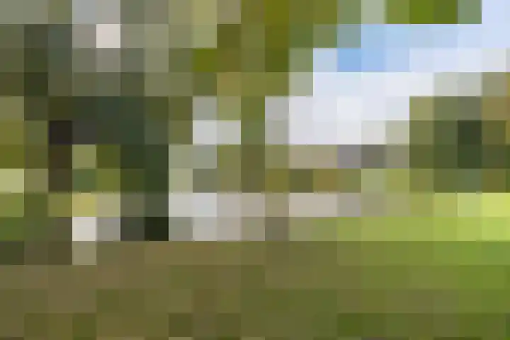 van der Helstlaan 87 Naarden thumbnail 52
