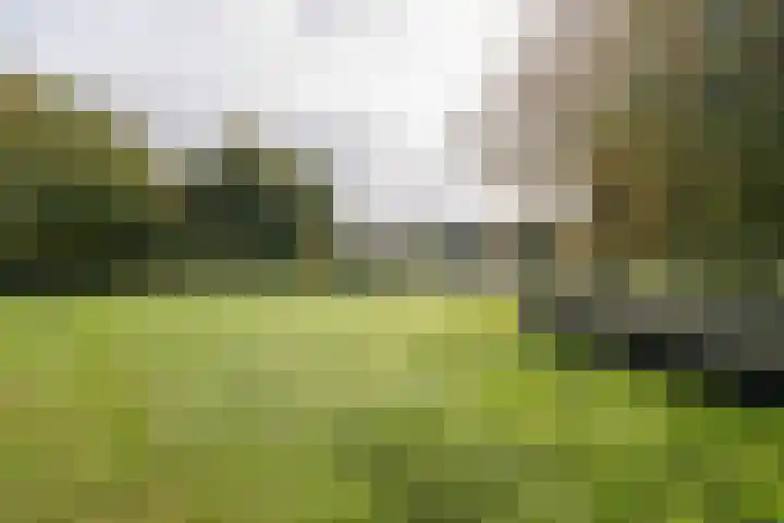 van der Helstlaan 87 Naarden thumbnail 53
