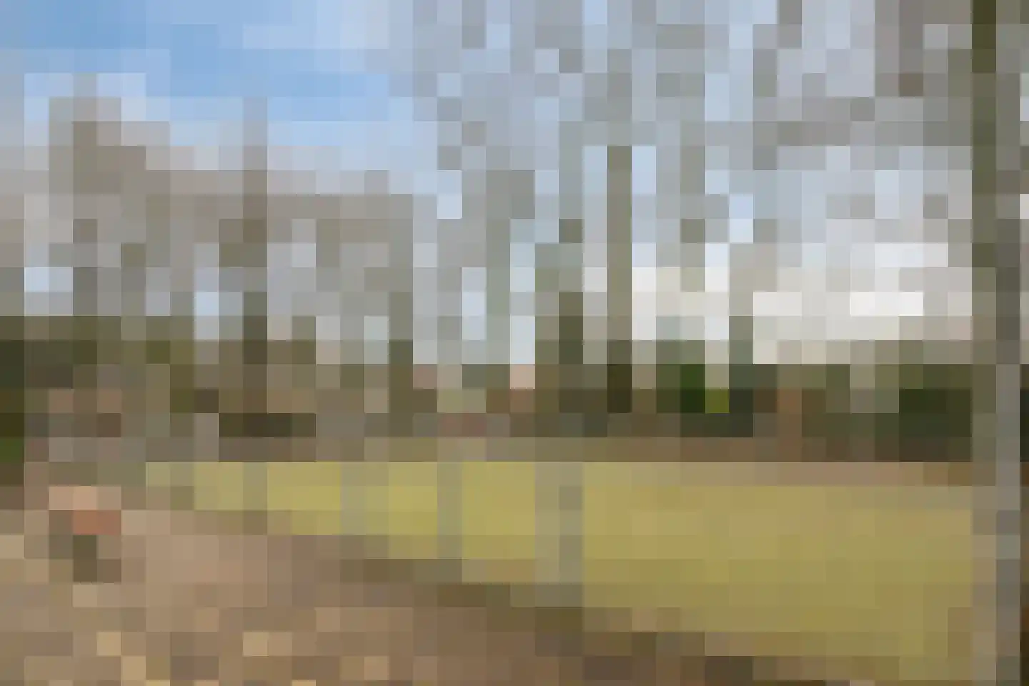 van der Helstpark 17 Muiderberg thumbnail 38