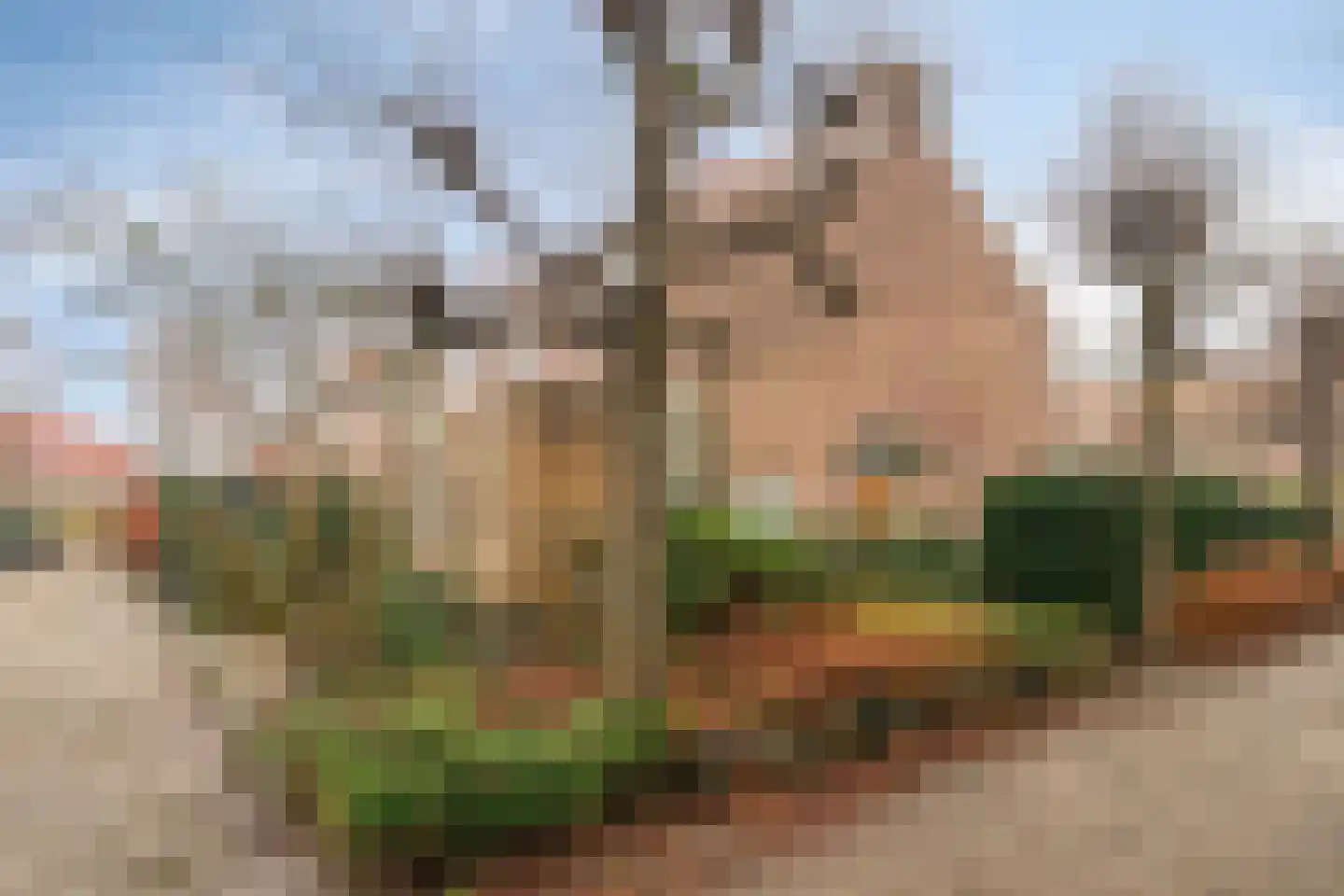 van der Helstpark 17 Muiderberg thumbnail 9