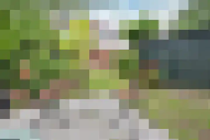 van der Helstpark 19 Muiderberg thumbnail 20