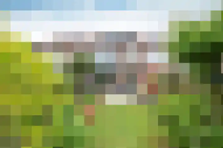 van der Helstpark 19 Muiderberg thumbnail 25