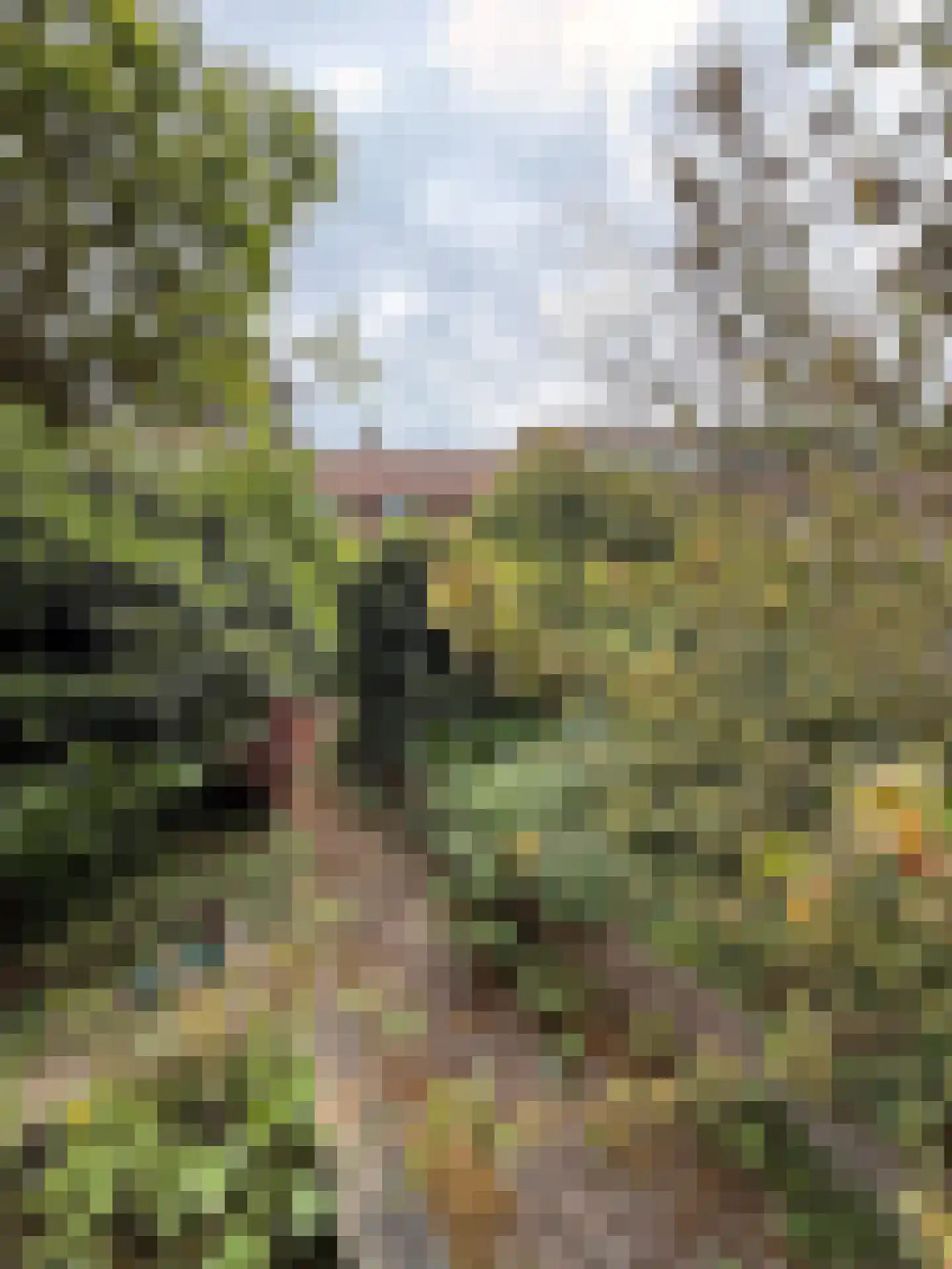 van der Helstpark 35 Muiderberg thumbnail 10