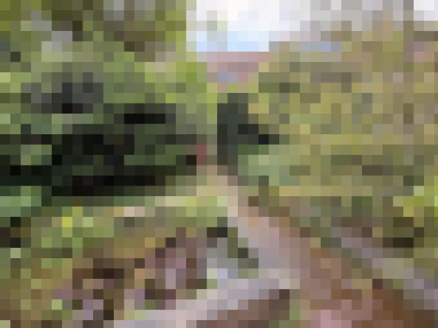 van der Helstpark 35 Muiderberg thumbnail 41