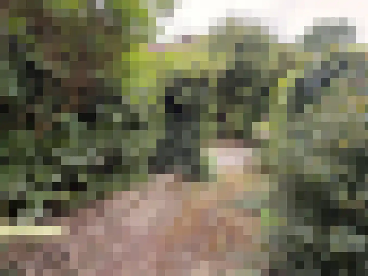 van der Helstpark 35 Muiderberg thumbnail 44