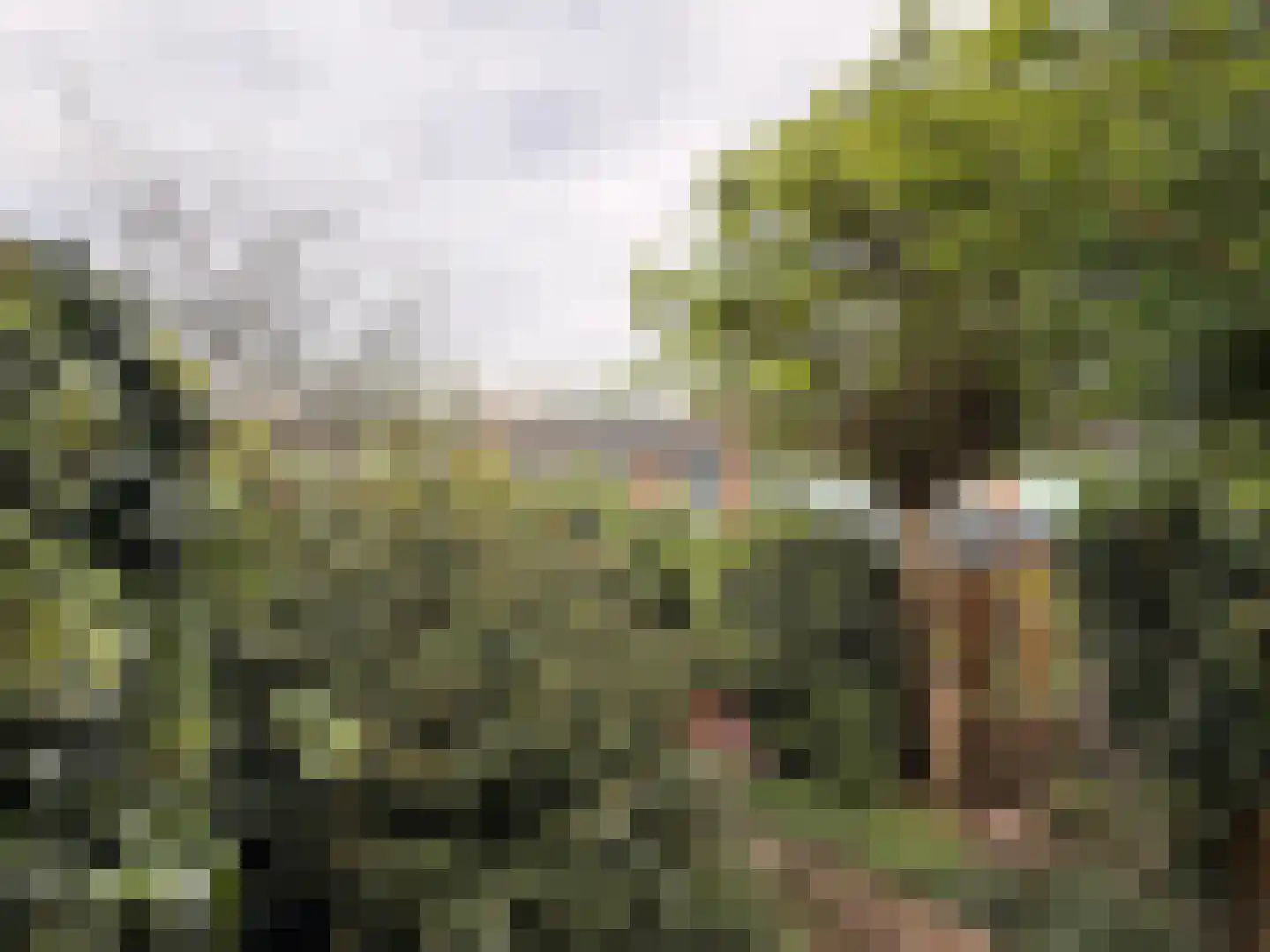 van der Helstpark 35 Muiderberg thumbnail 45