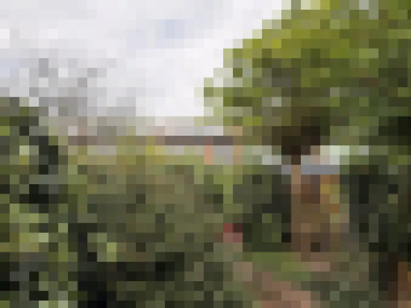 van der Helstpark 35 Muiderberg thumbnail 46
