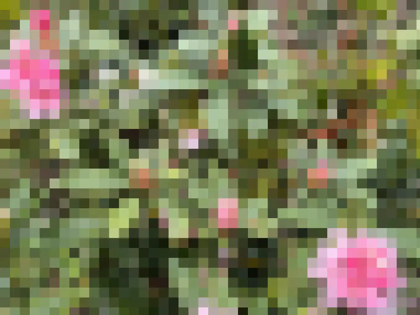 van der Helstpark 35 Muiderberg thumbnail 47