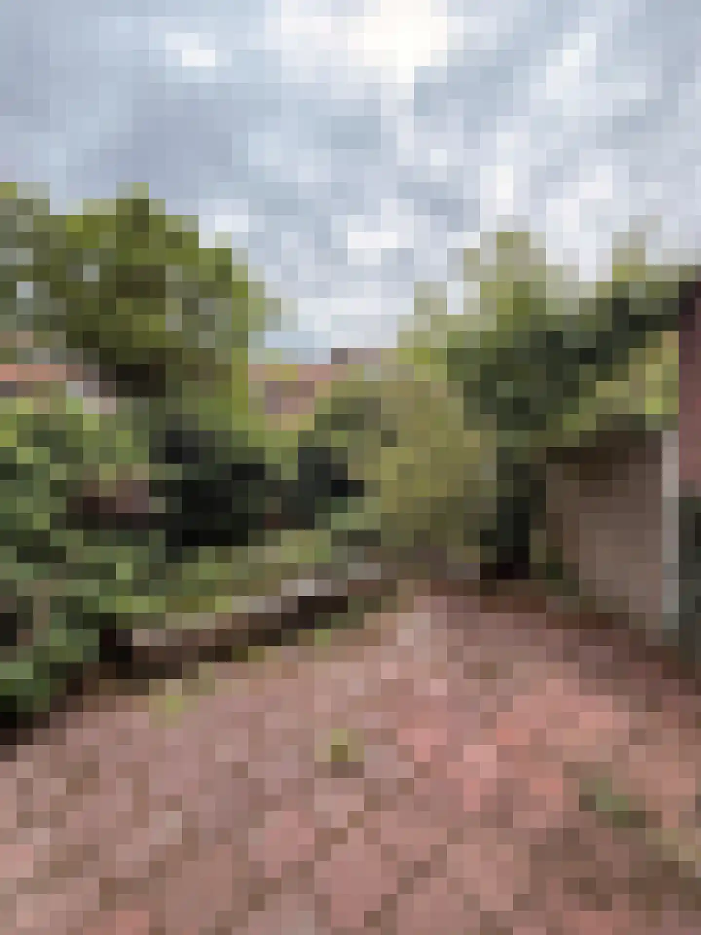 van der Helstpark 35 Muiderberg thumbnail 9