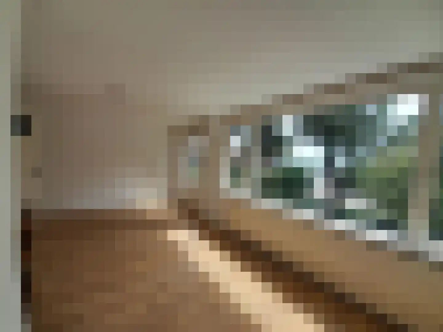 van der Helstpark 75 Muiderberg thumbnail 12