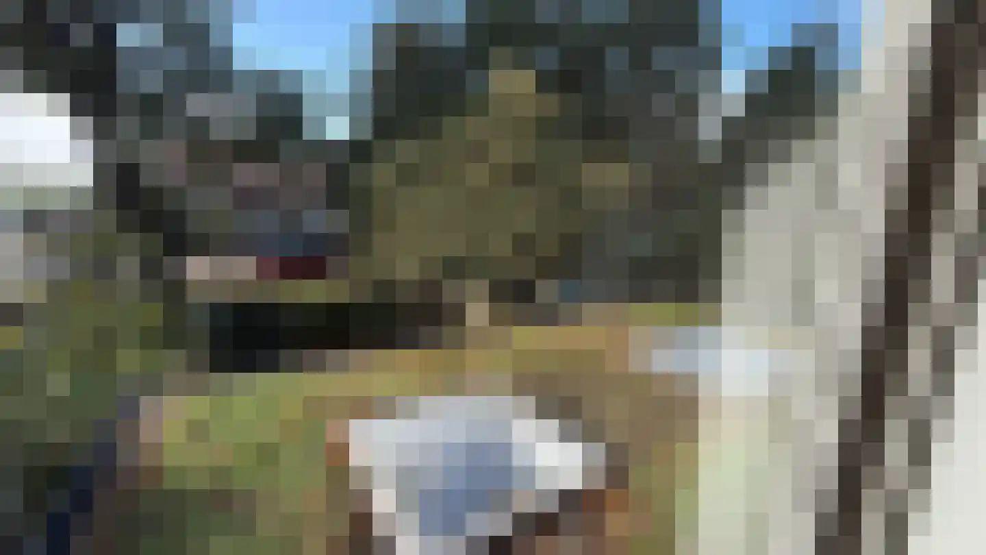 van der Helstpark 75 Muiderberg thumbnail 13
