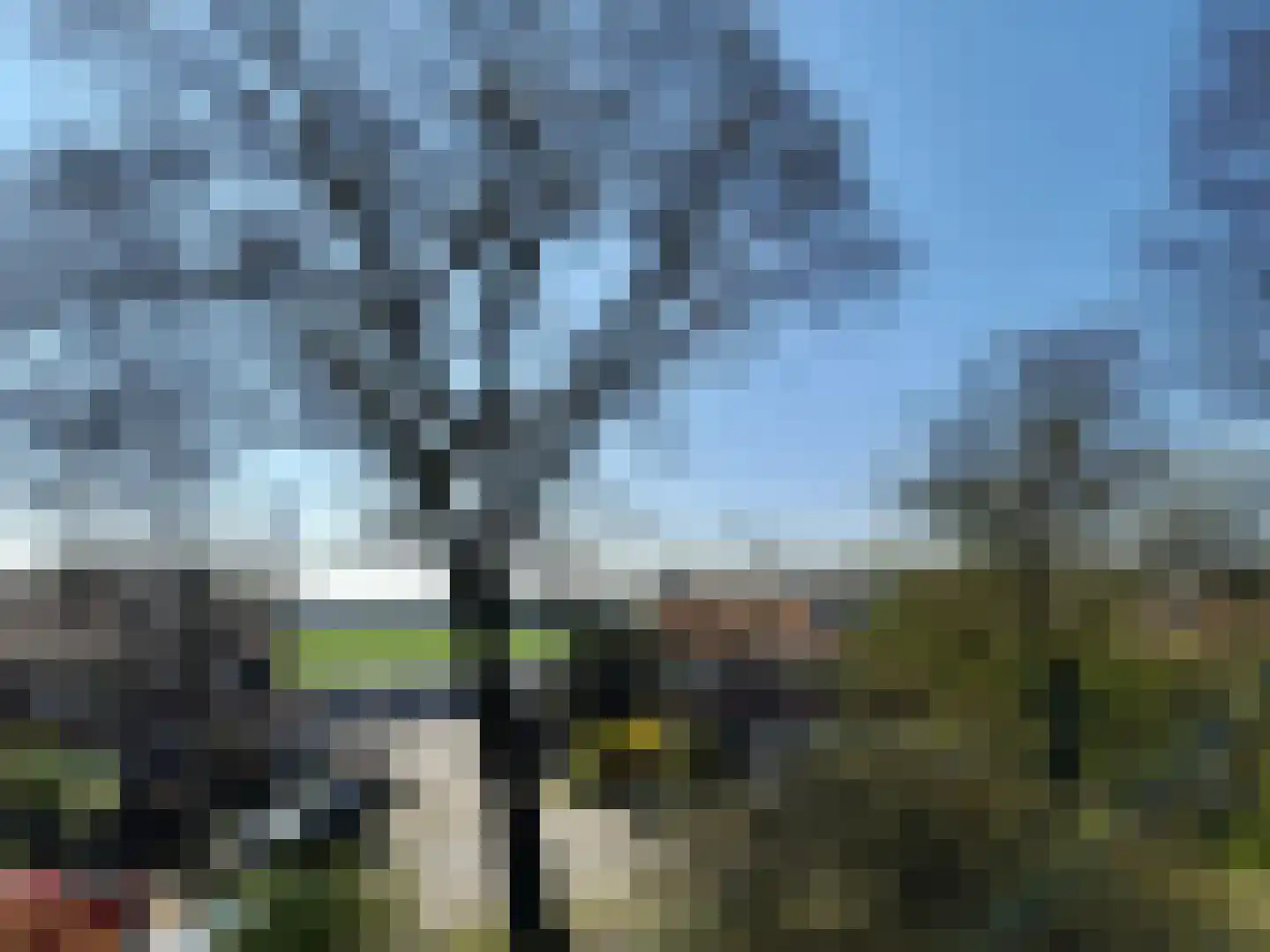 van der Helstpark 75 Muiderberg thumbnail 14