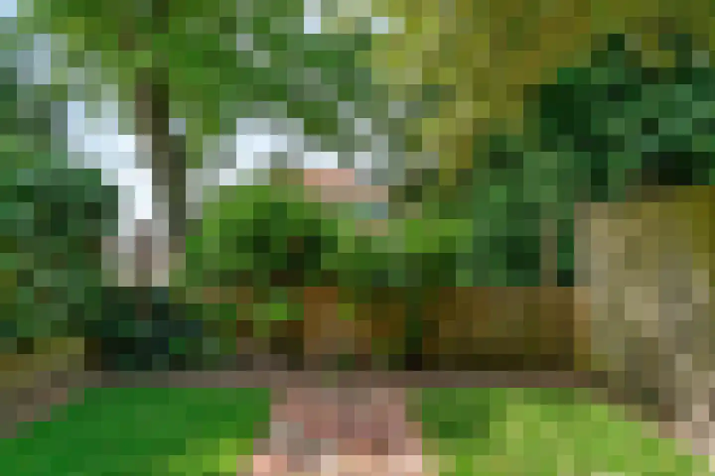 van der Helstpark 75 Muiderberg thumbnail 14