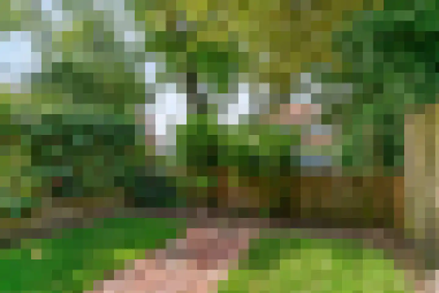 van der Helstpark 75 Muiderberg thumbnail 15
