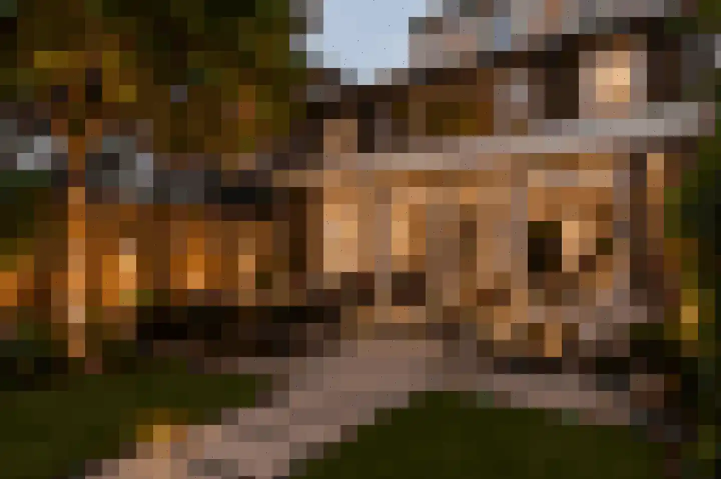 van der Helstpark 75 Muiderberg thumbnail 16