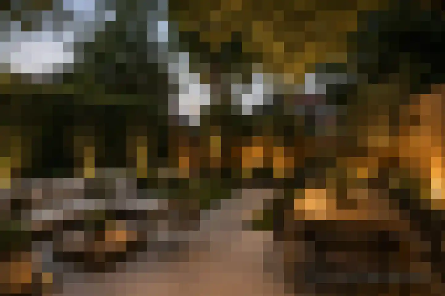 van der Helstpark 75 Muiderberg thumbnail 18