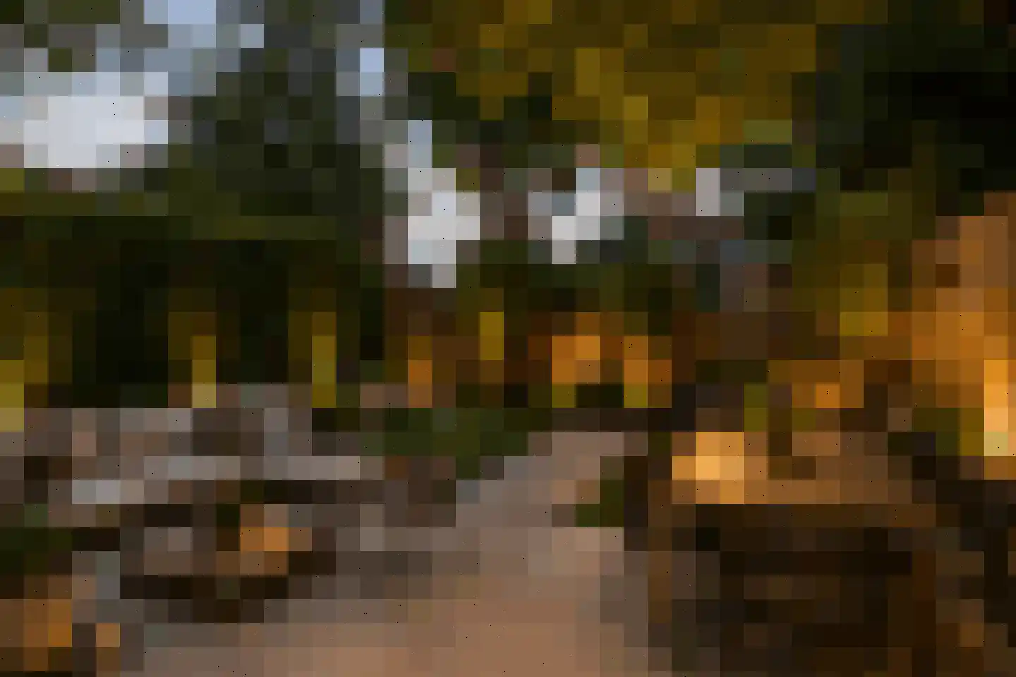 van der Helstpark 75 Muiderberg thumbnail 19