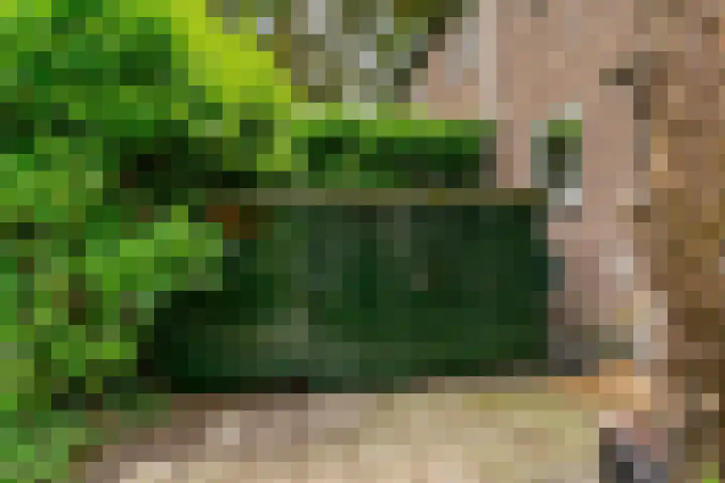 van der Helstpark 75 Muiderberg thumbnail 32