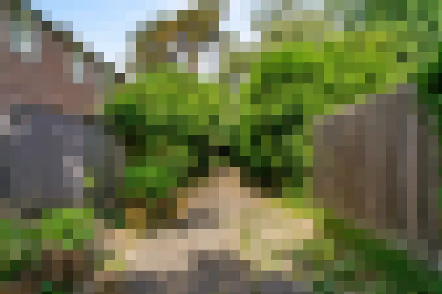 van der Helstpark 75 Muiderberg thumbnail 33