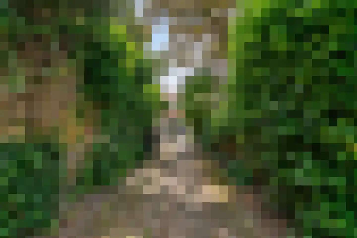 van der Helstpark 75 Muiderberg thumbnail 34