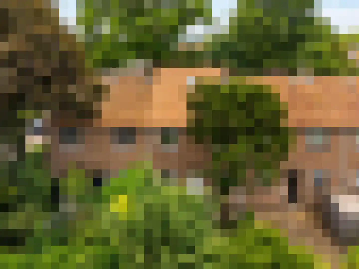 van der Helstpark 75 Muiderberg thumbnail 35