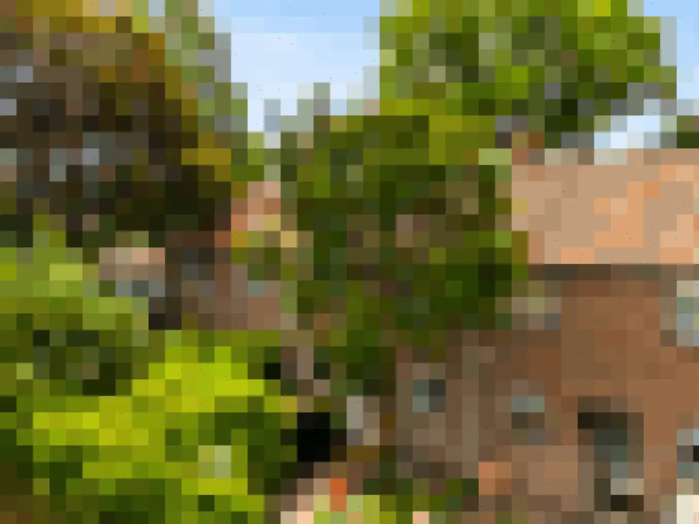 van der Helstpark 75 Muiderberg thumbnail 37