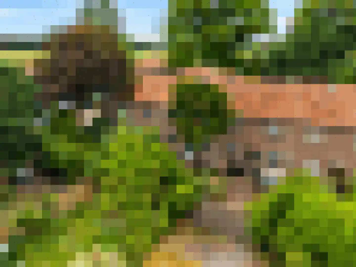 van der Helstpark 75 Muiderberg thumbnail 39