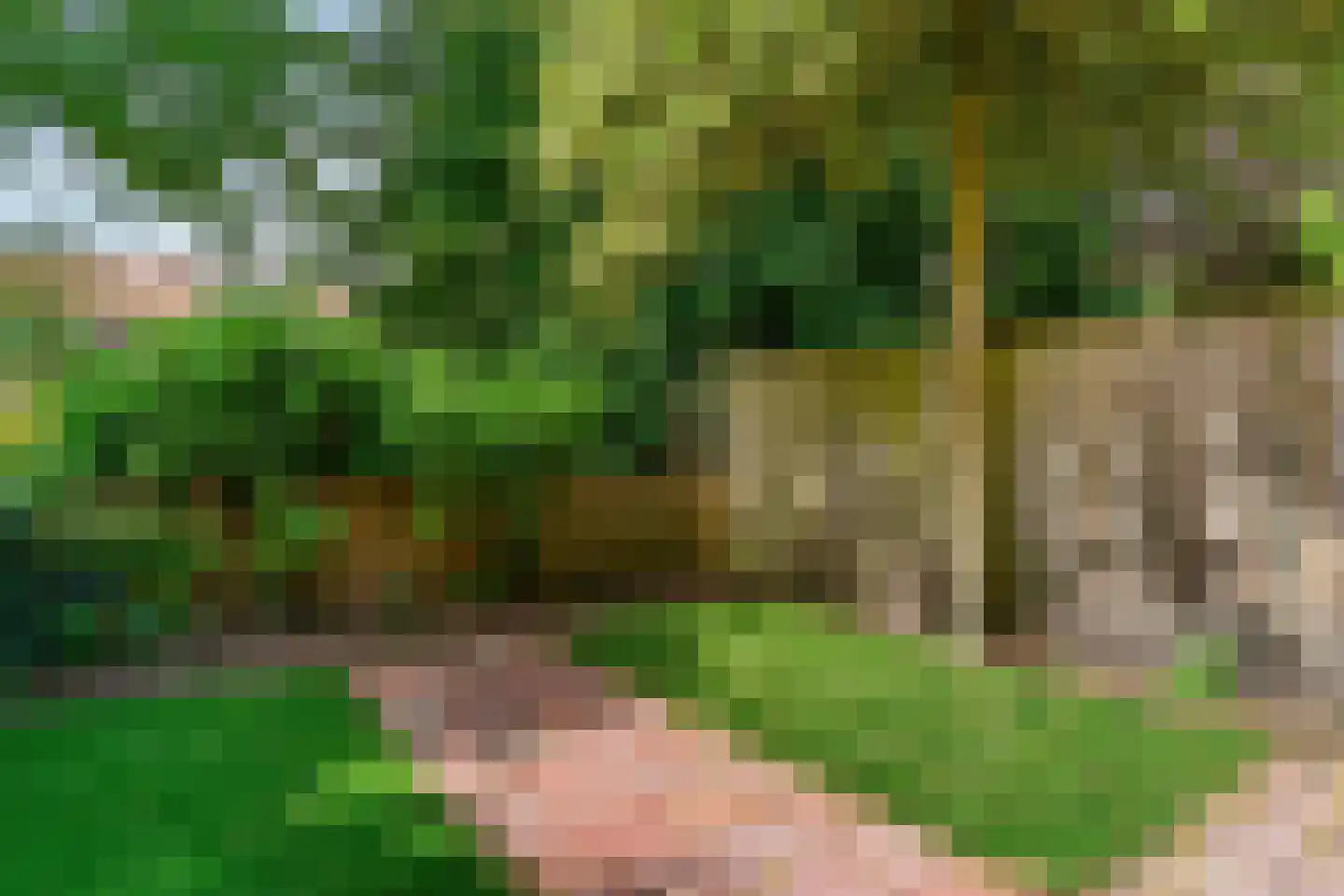 van der Helstpark 75 Muiderberg thumbnail 5