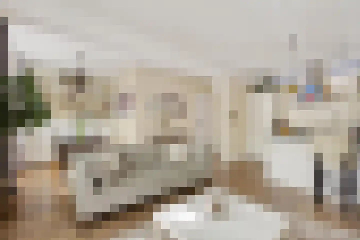 Van der Helstplein 10 1 Amsterdam thumbnail 15