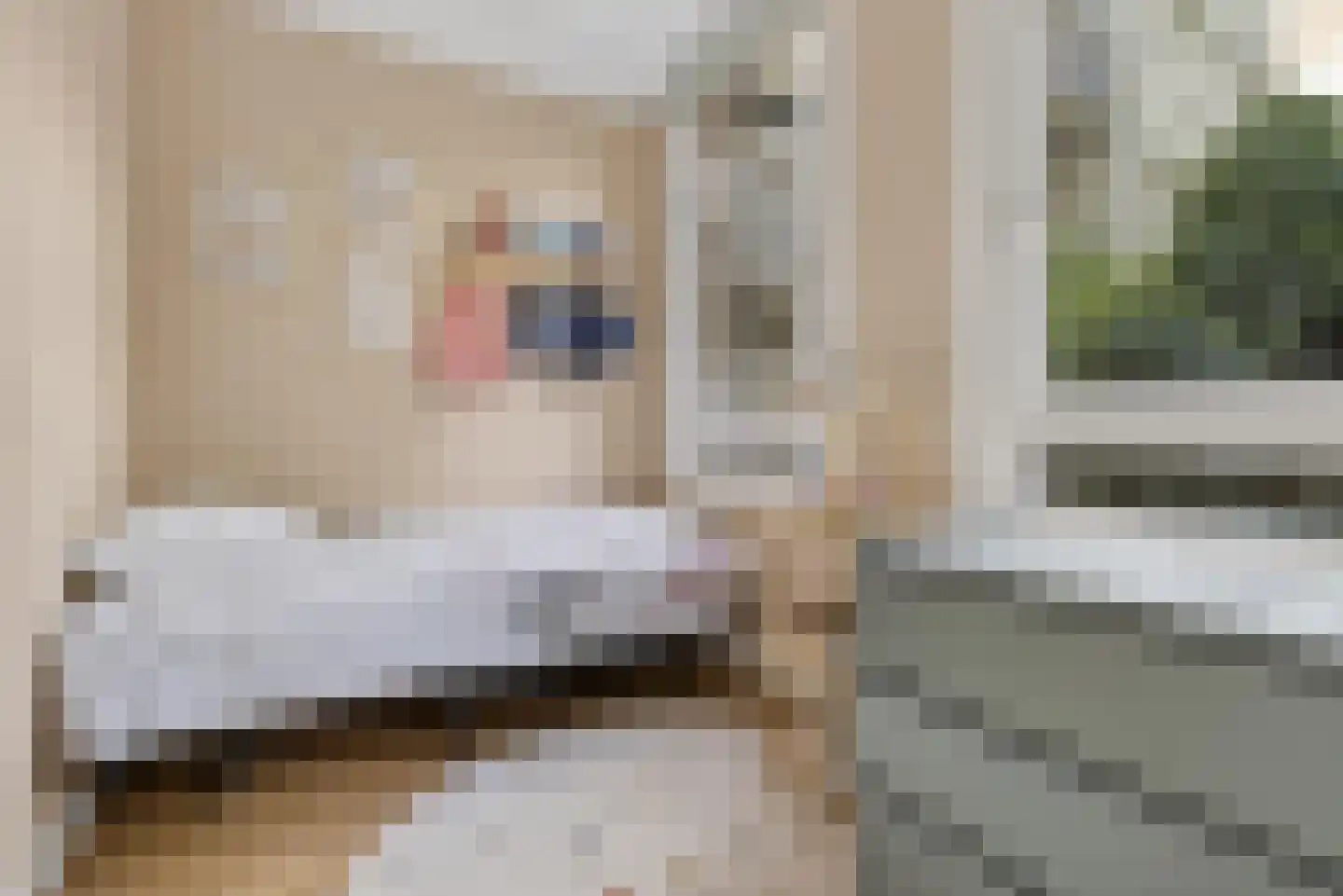Van der Helstplein 10 1 Amsterdam thumbnail 37