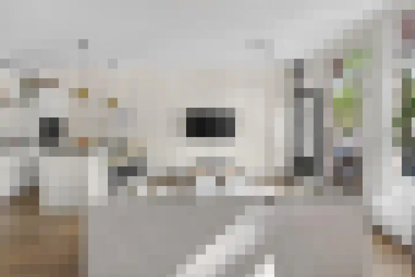 Van der Helstplein 10 3 Amsterdam thumbnail 21