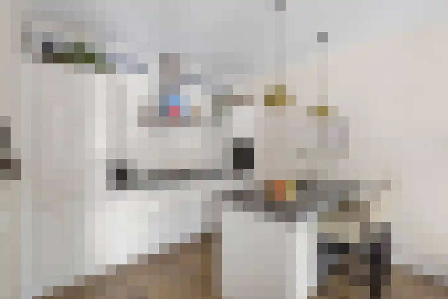 Van der Helstplein 10 3 Amsterdam thumbnail 27