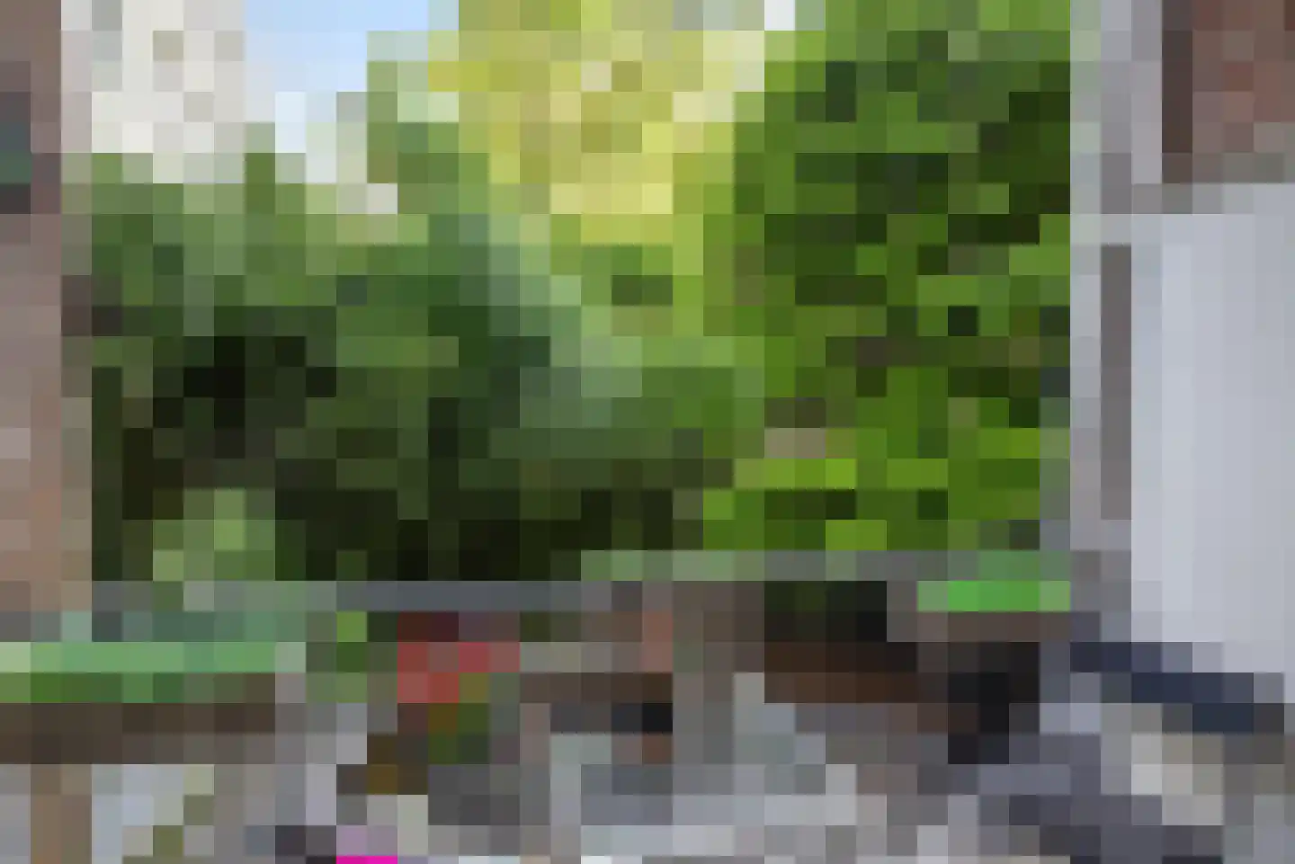 Van der Helstplein 10 3 Amsterdam thumbnail 43
