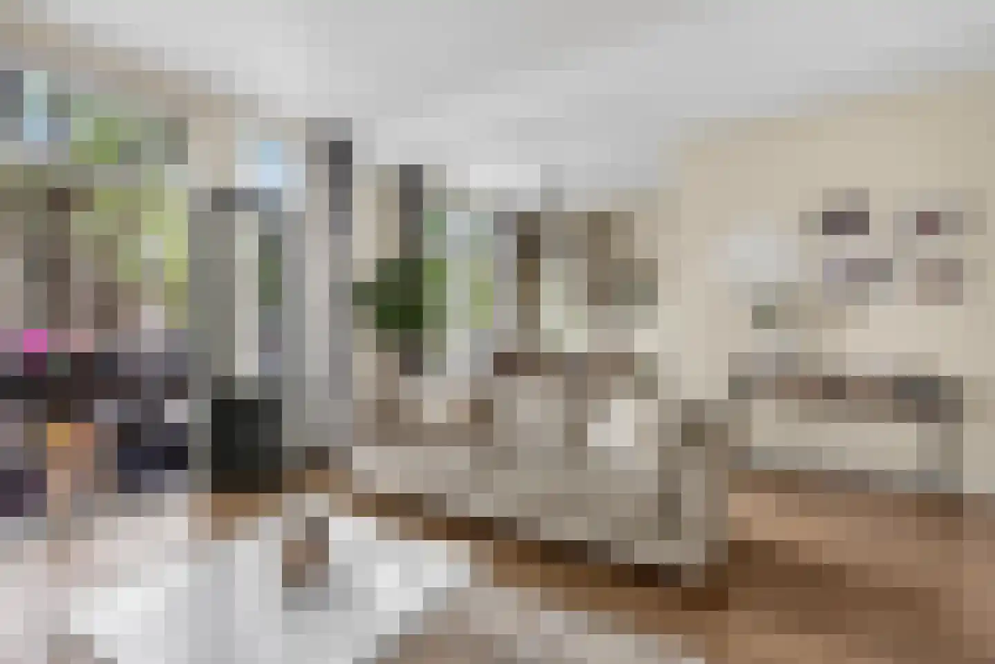Van der Helstplein 10 3 Amsterdam thumbnail 5