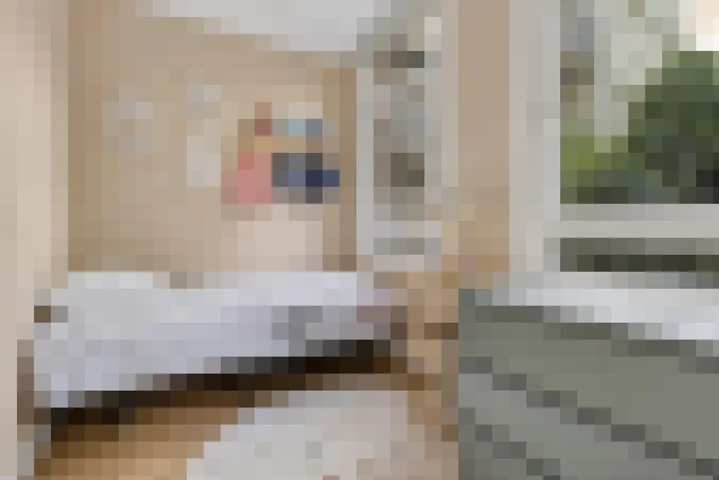 Van der Helstplein 10 H Amsterdam thumbnail 37