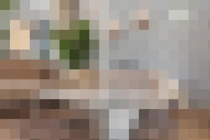 Van der Helstplein 12 Maassluis thumbnail 10