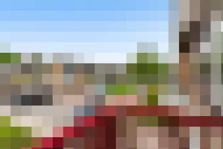 Van der Helstplein 12 Maassluis thumbnail 4