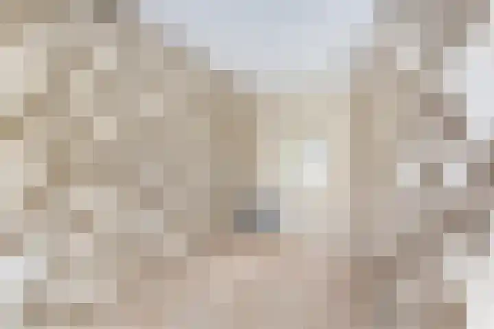 Van der Helstplein 12 Maassluis thumbnail 41