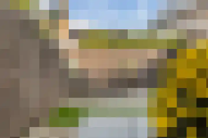 Van der Helstplein 14 Maassluis thumbnail 5