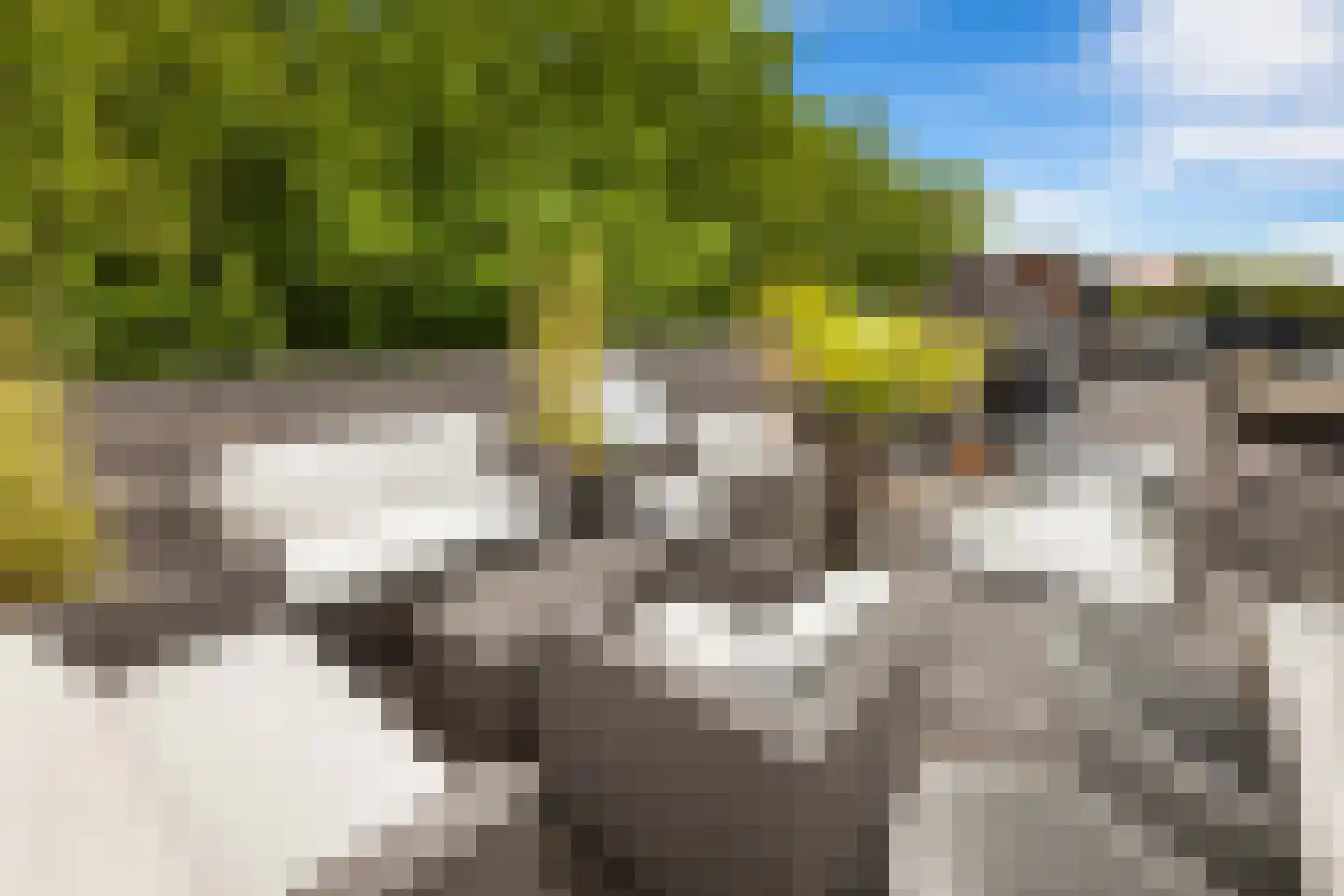 Van der Helstplein 4 3 Amsterdam thumbnail 21