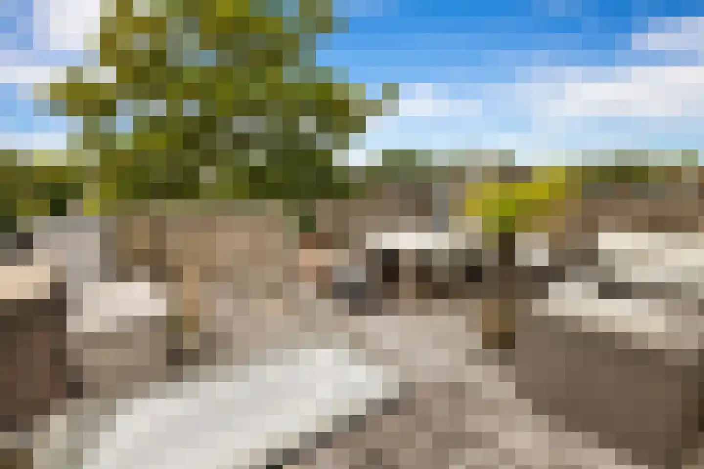 Van der Helstplein 4 3 Amsterdam thumbnail 22