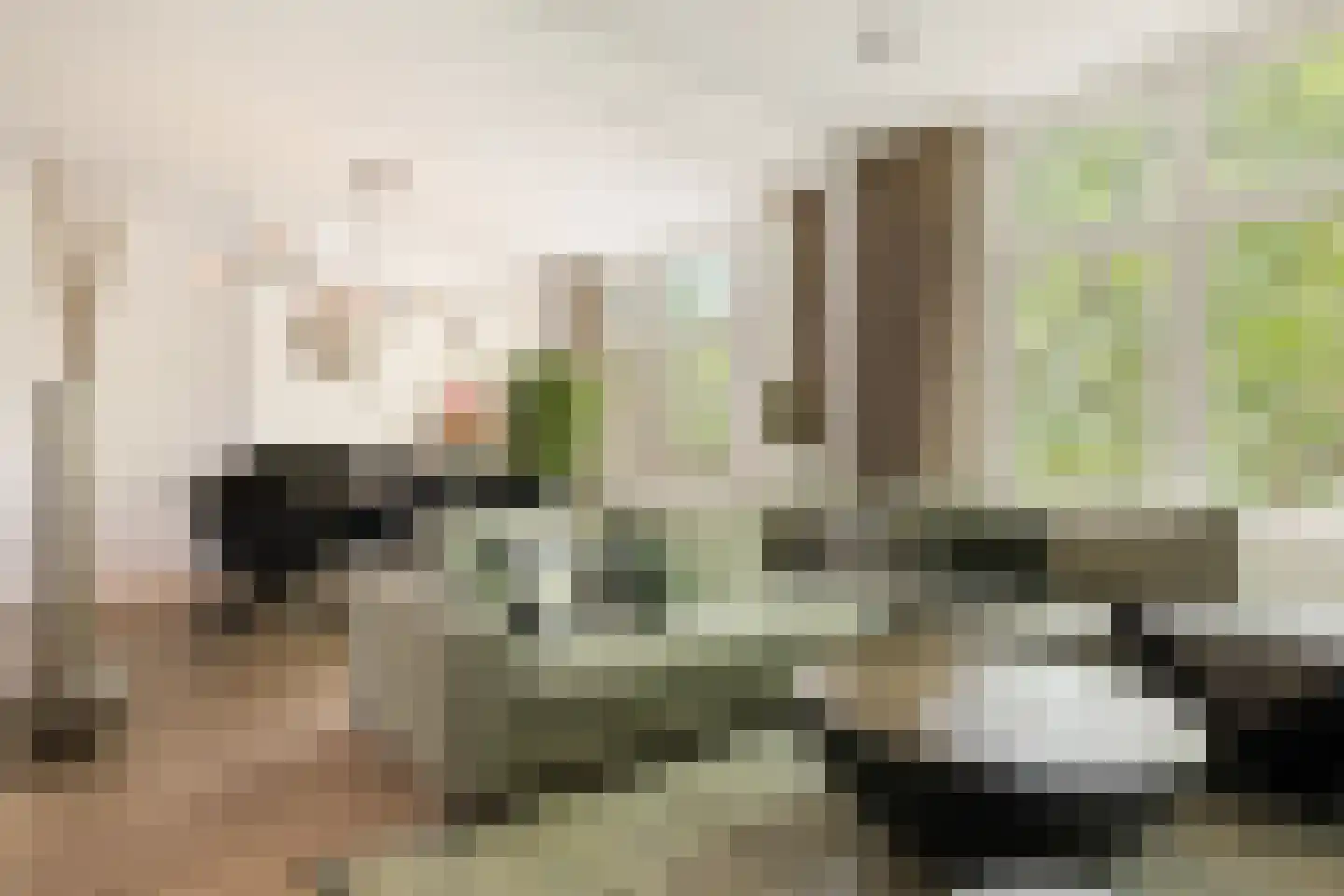 Van der Helstplein 4 3 Amsterdam thumbnail 4