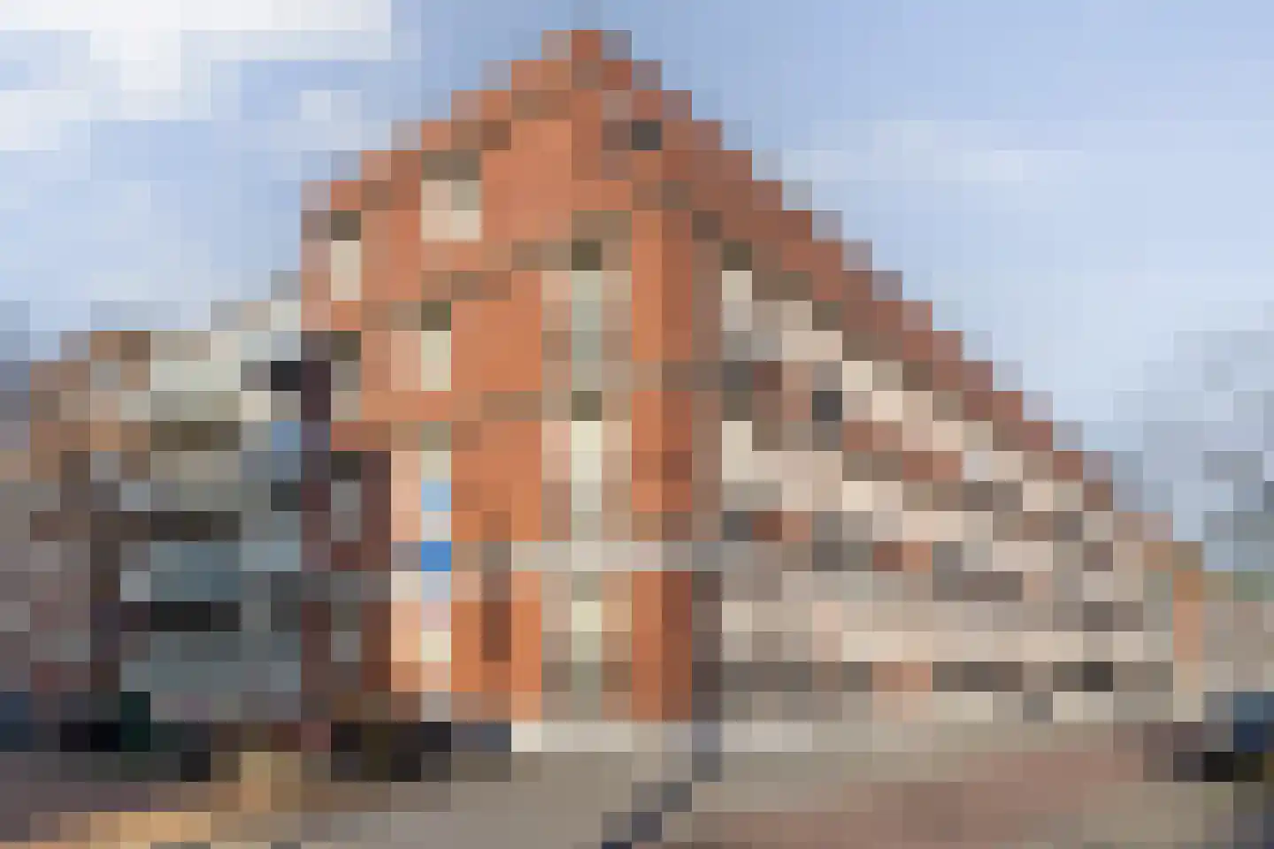 Van der Helststraat 110 Den Haag thumbnail 19