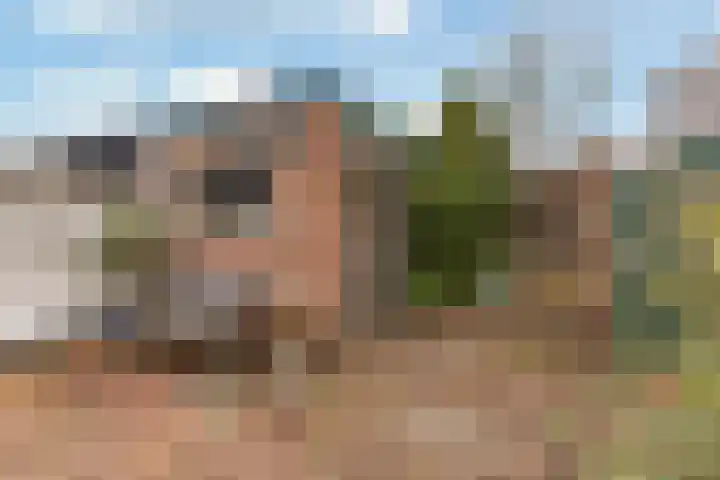 Van der Helststraat 12 IJmuiden thumbnail 12