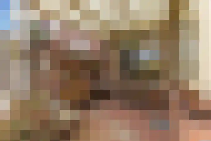 Van der Helststraat 12 IJmuiden thumbnail 9