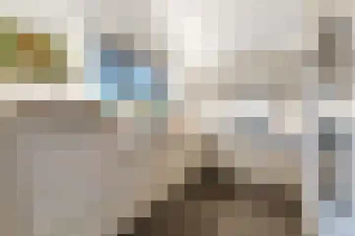 van der Helststraat 12 Ommen thumbnail 14